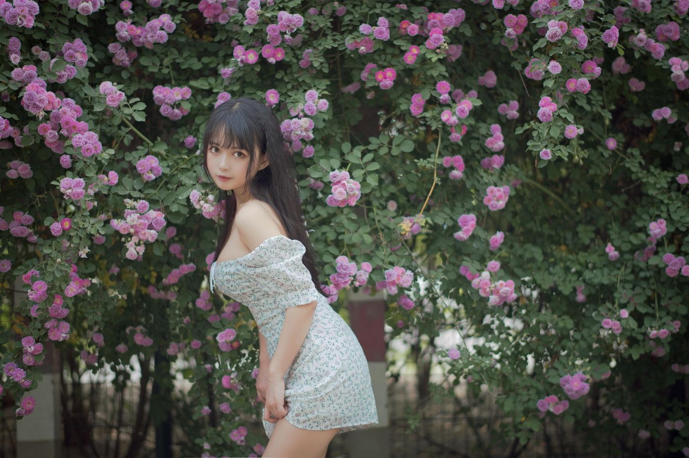 黑猫猫 NO.022 蔷薇2 [27P]插图8