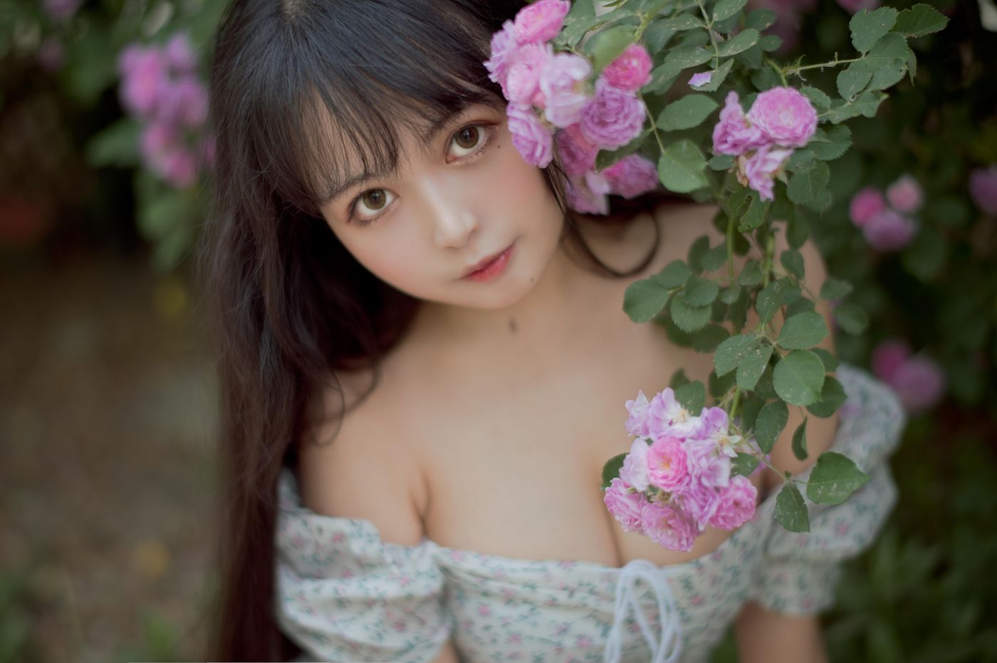 黑猫猫 NO.022 蔷薇2 [27P]插图1