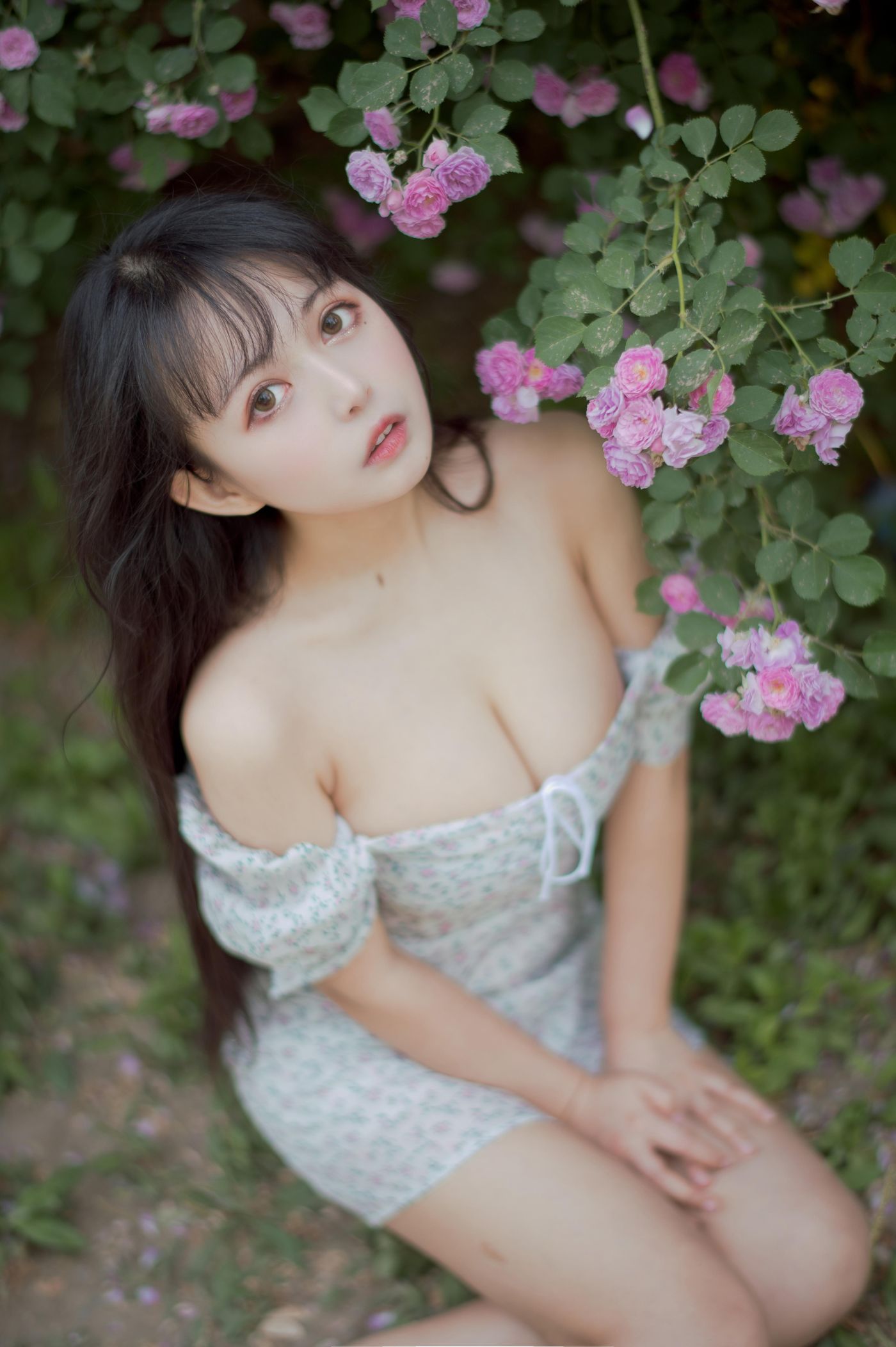 黑猫猫 NO.022 蔷薇2 [27P]插图4