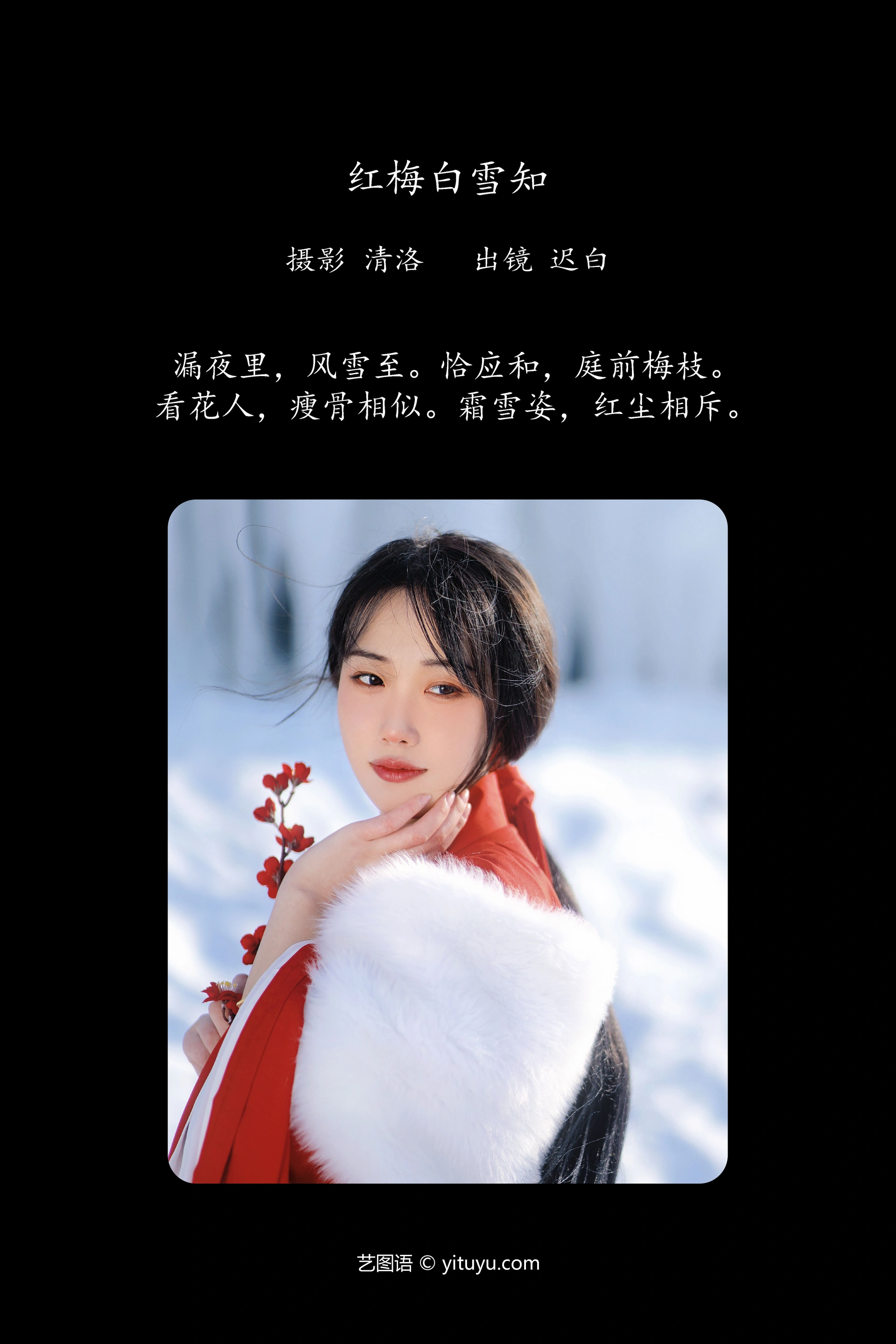 [YITUYU艺图语]2024.01.28 红梅白雪知 迟白 0