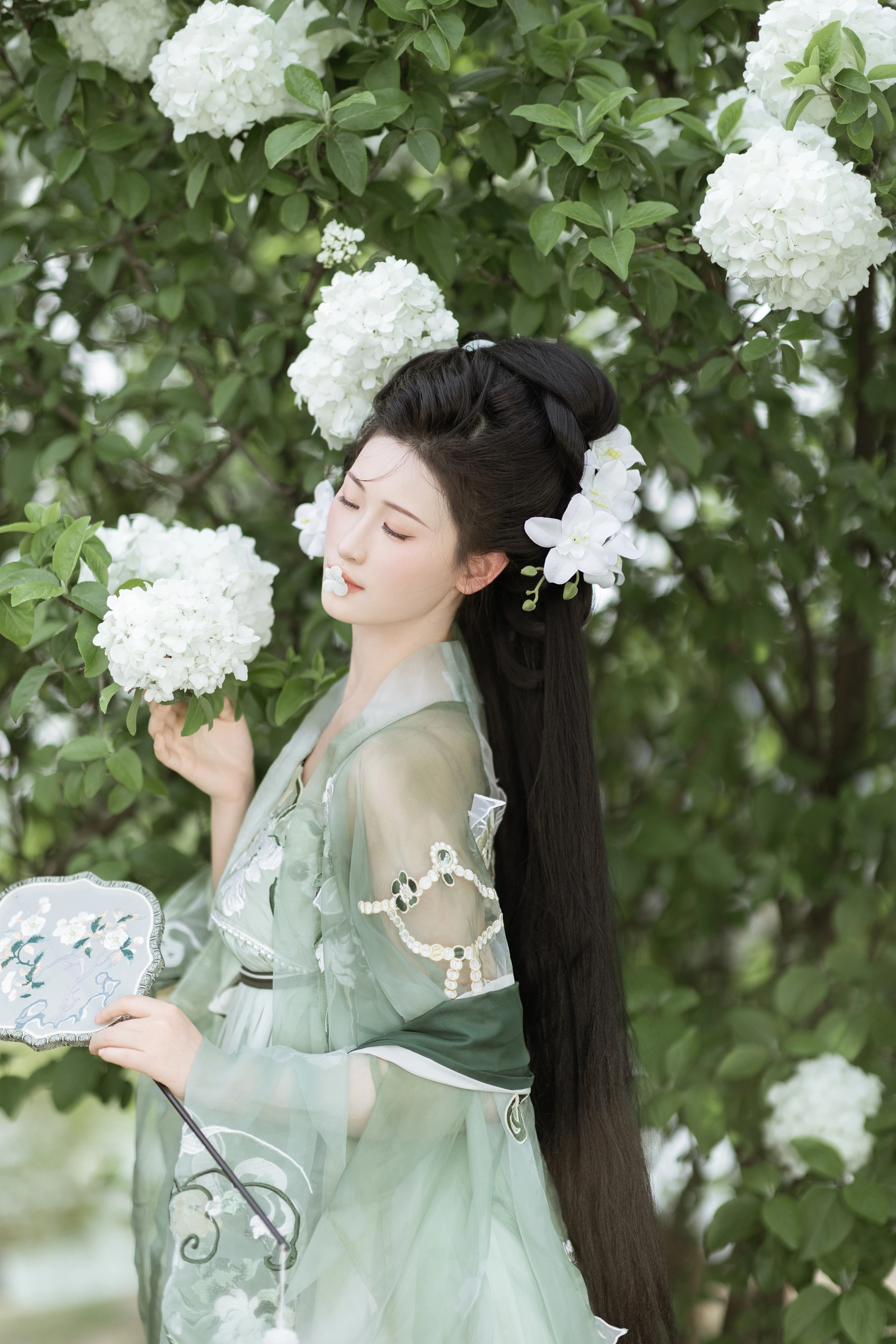 [YITUYU艺图语]2024.07.26 玉绣球花 江月月月 2