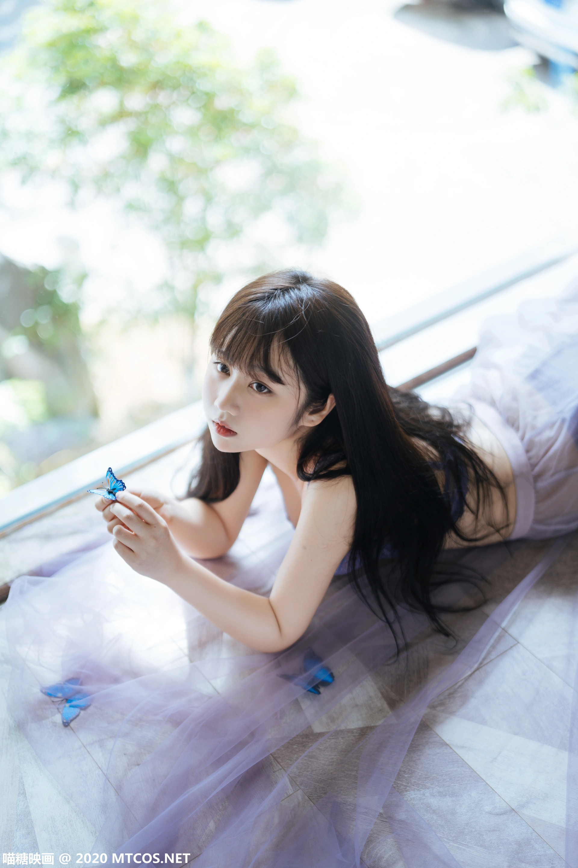 喵糖映画 - VOL.309 蓝蝶静夏 0