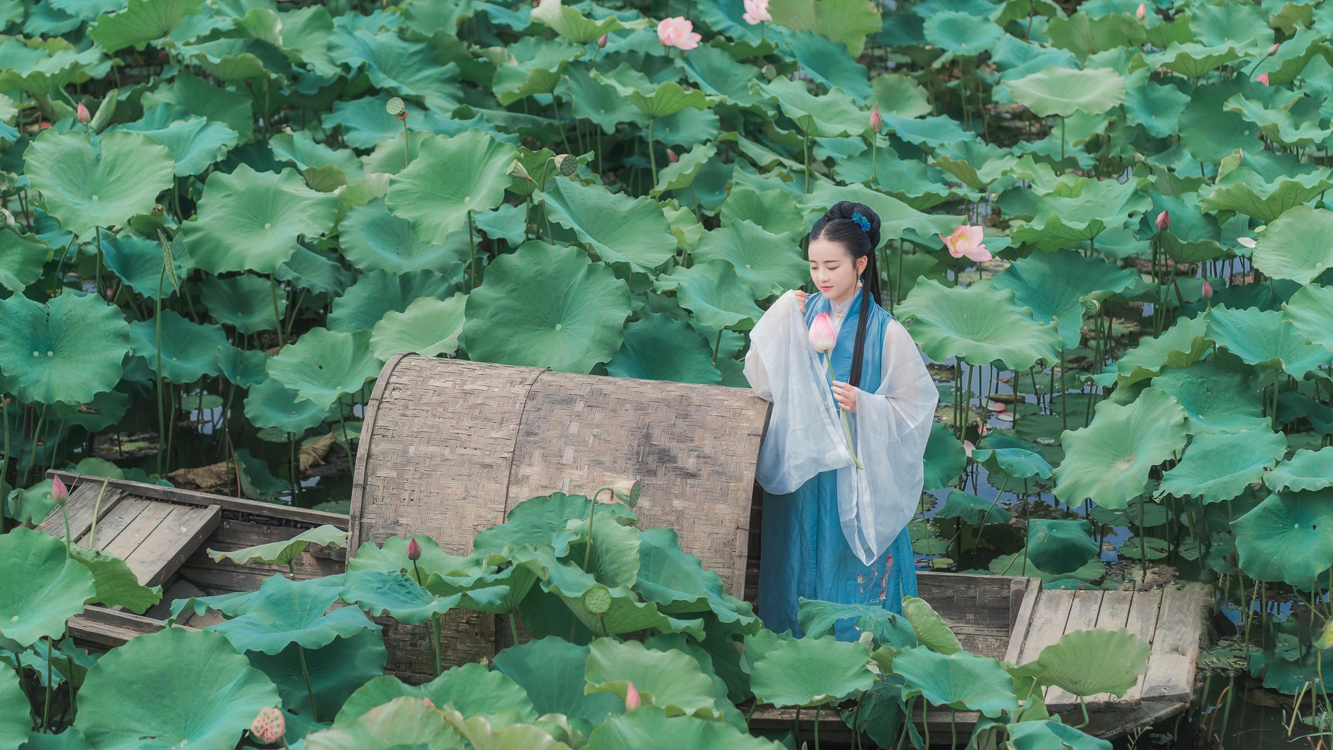 拿相机的执义 - NO.39 汉服写真成都约拍『莲花渡』 0