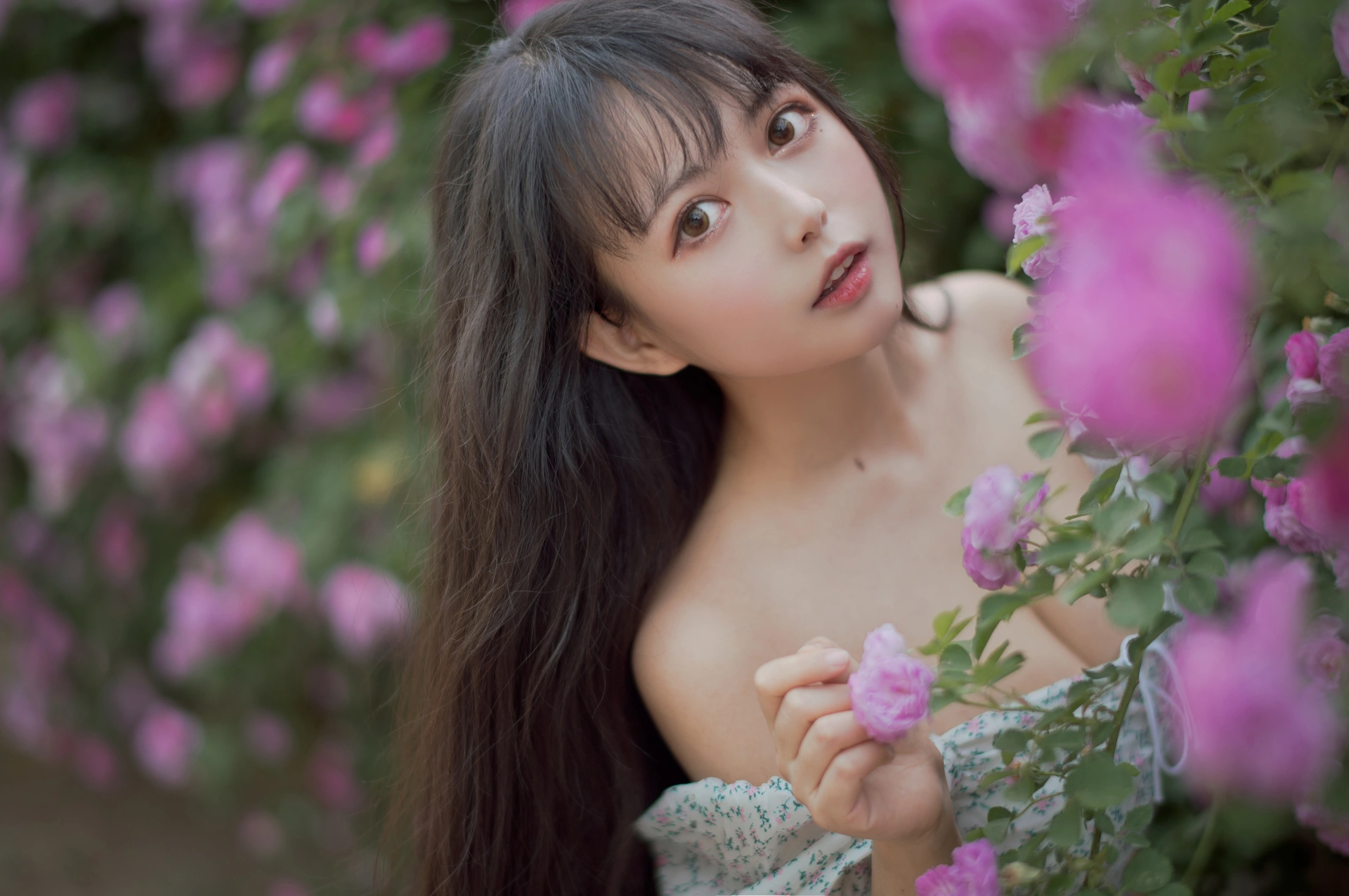 喵糖映画 - VOL.338 蔷薇少女 1