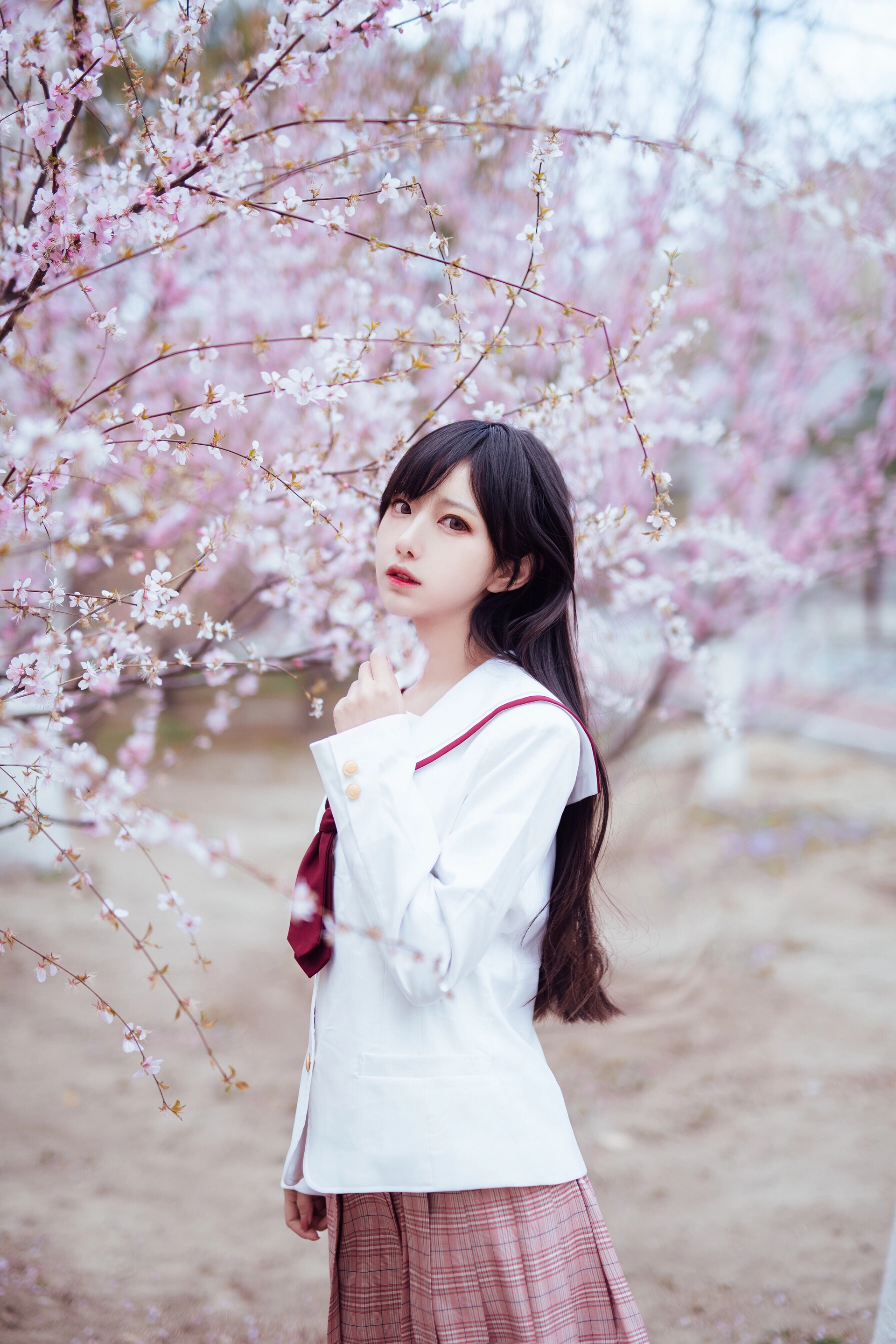 Shika小鹿鹿 - NO.47 樱花 0