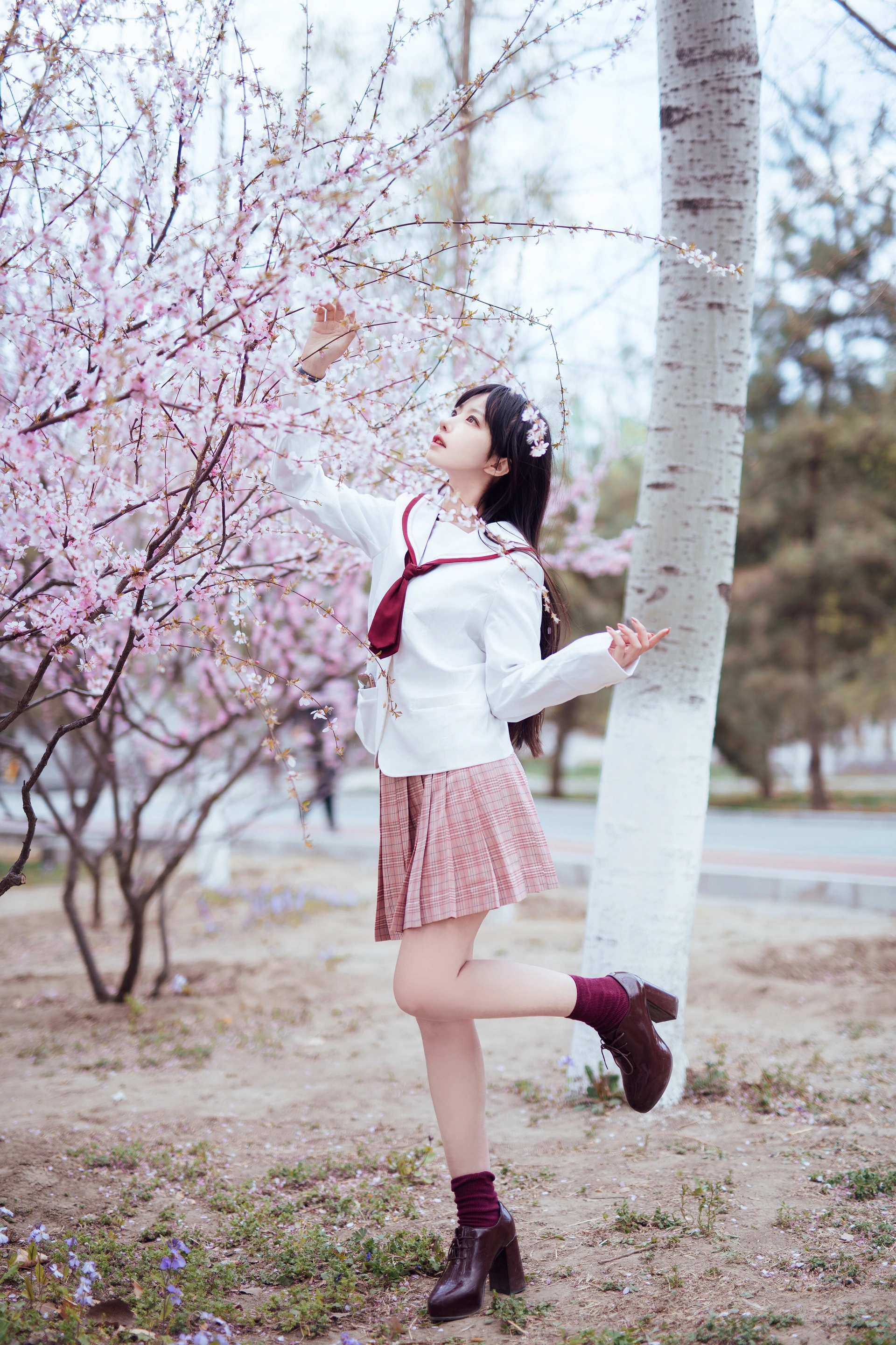 Shika小鹿鹿 - NO.47 樱花 2