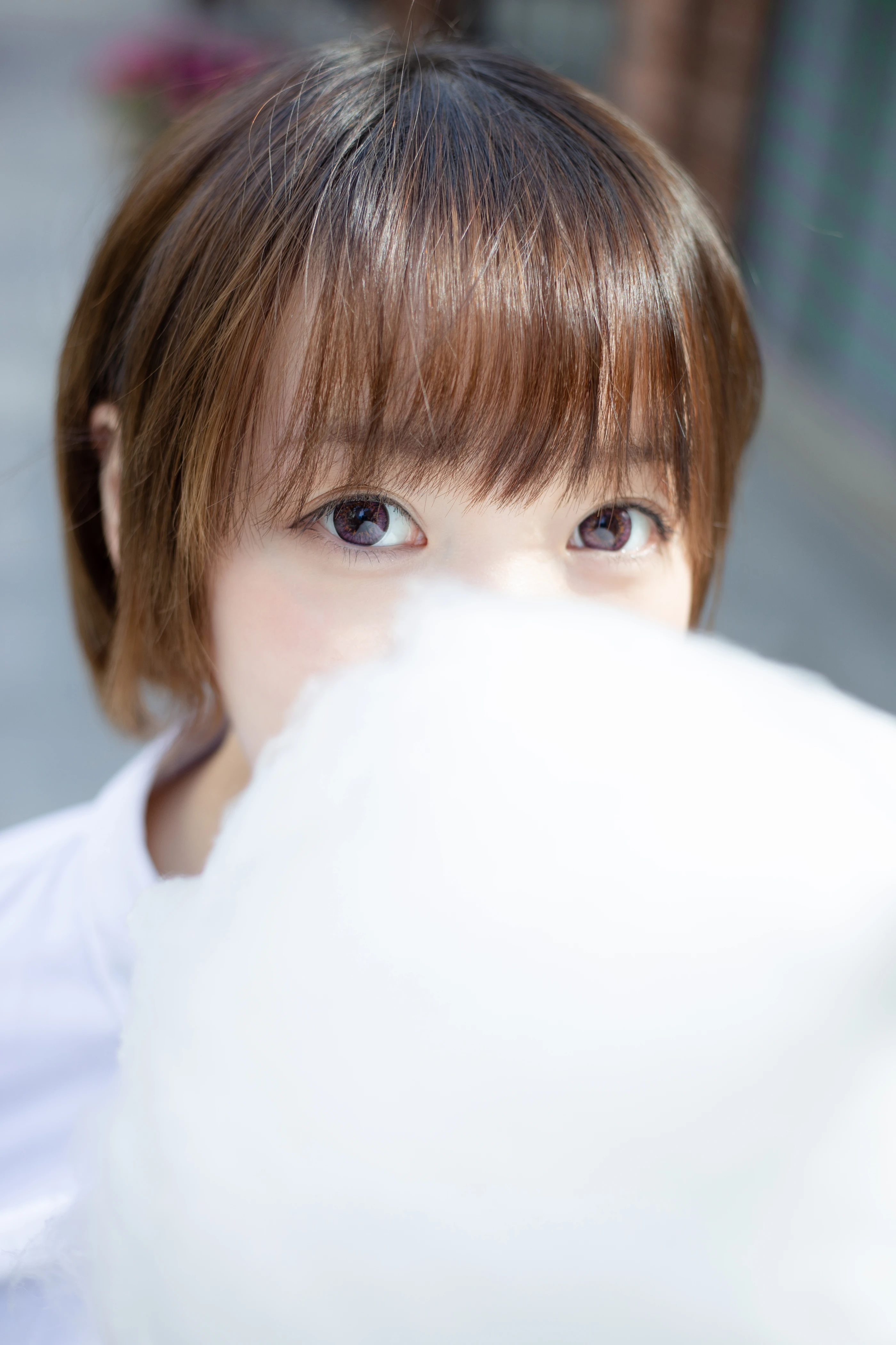 森萝财团 SSR-011 [104P] 0